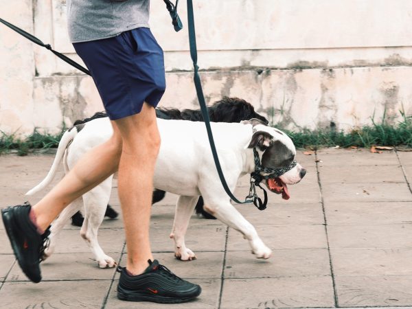 How Many Miles Should I Walk a Day to Support a Healthier Lifestyle?