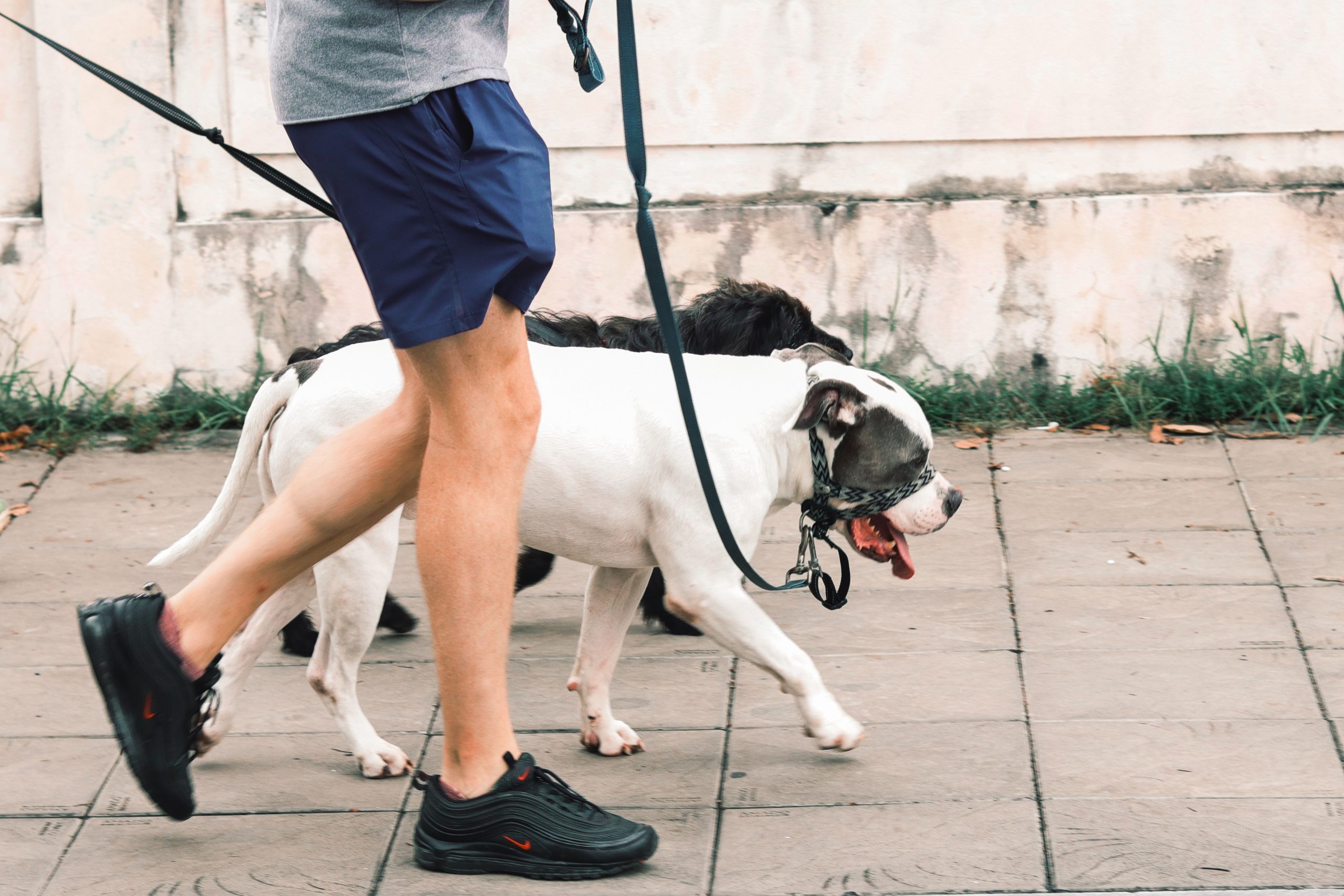 How Many Miles Should I Walk a Day to Support a Healthier Lifestyle?